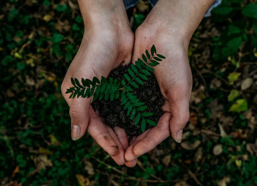Hands carrying earth in nature